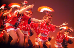 Awa Odori danse Tokushima