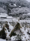 Hasedera Kamakura