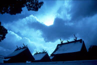 Izumo taisha