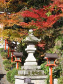 Momiji Kurama