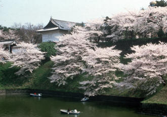 Château Edo parc Chidorigafuchi