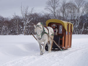 Traineau à cheval dans la région d'Hokkaido