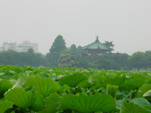 Tokyo