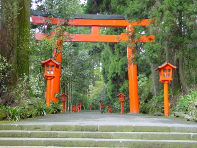 Torii