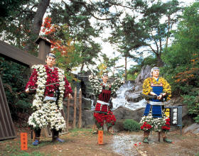 Festival chrysanthème