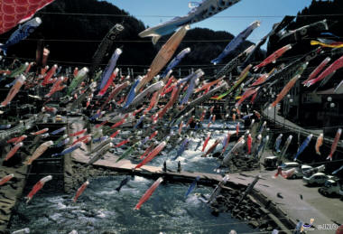 Koinobori dans la ville de Kumamoto