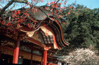 Dazaifu Tenmangu