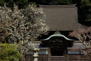 Temple Engaku-ji bâti en 1282 par le régent Hôjô Tokimune