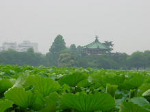 le parc Ueno de Tōkyō