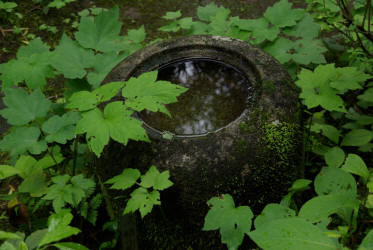 jardin du temple Engaku-ji